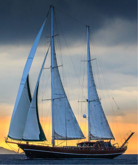 Sail ahoy!